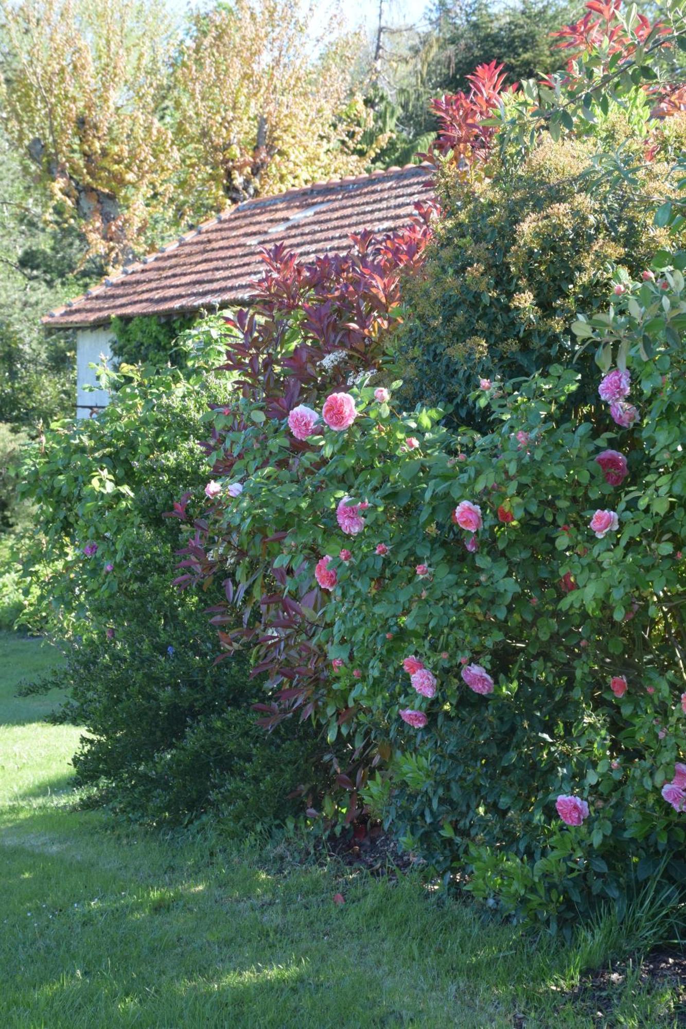 Domaine Chez Maurice Bed and Breakfast Becheresse Buitenkant foto
