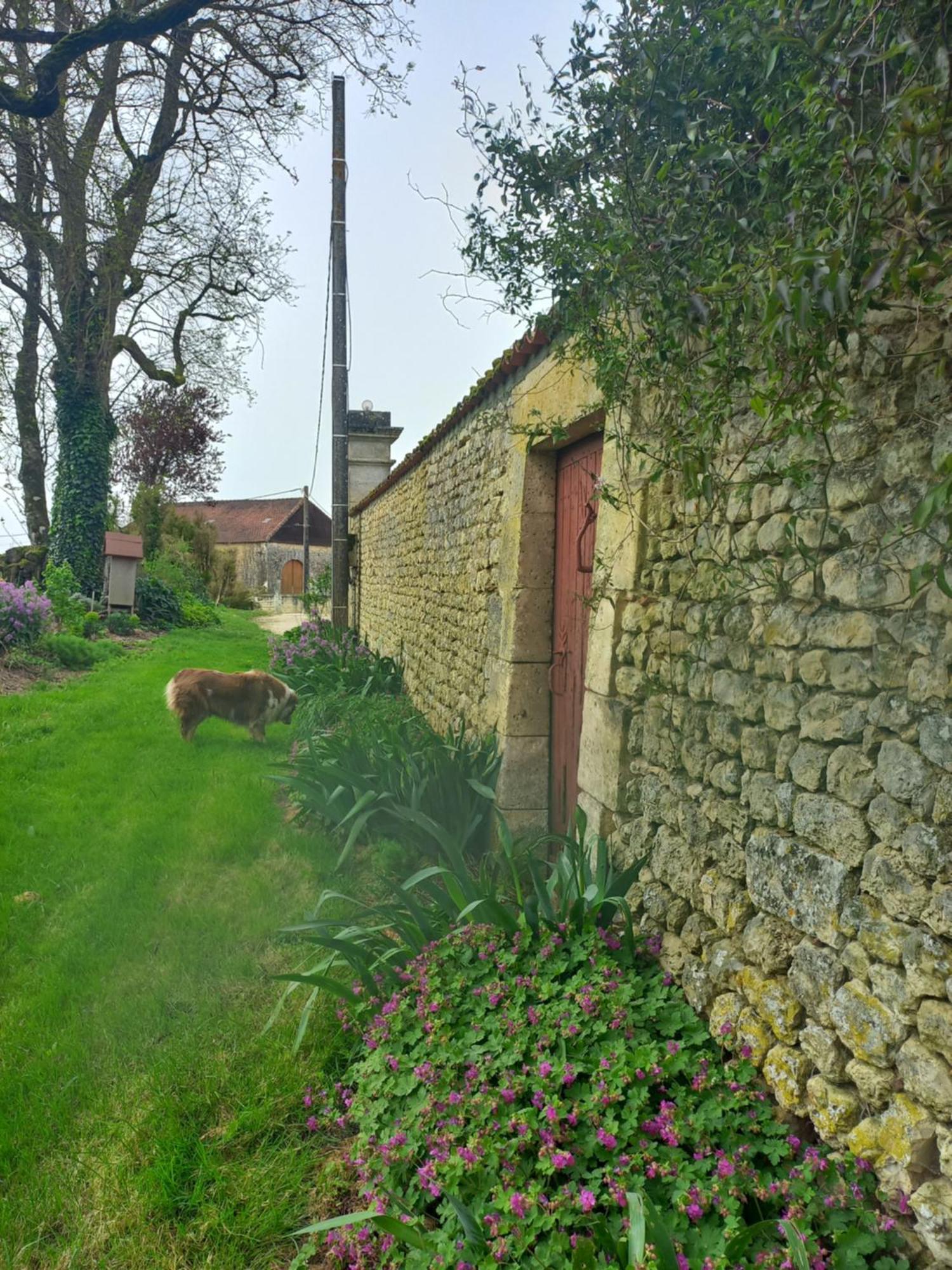 Domaine Chez Maurice Bed and Breakfast Becheresse Buitenkant foto