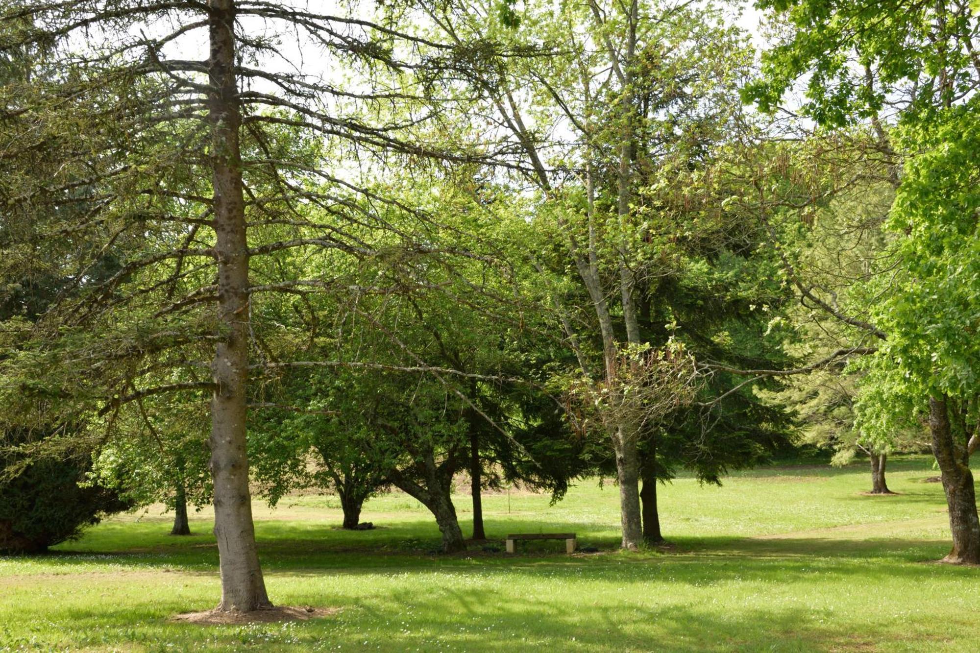 Domaine Chez Maurice Bed and Breakfast Becheresse Buitenkant foto