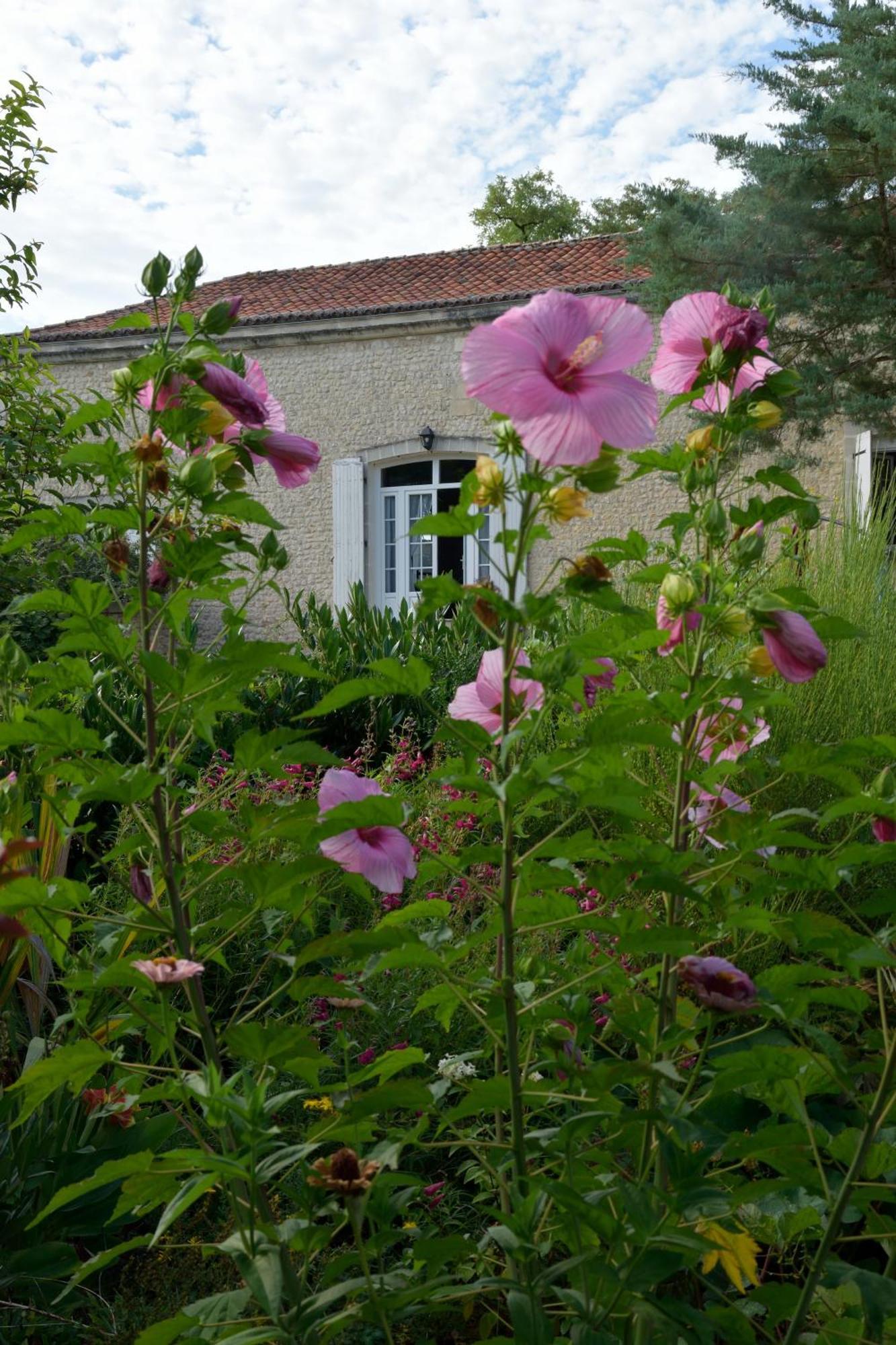 Domaine Chez Maurice Bed and Breakfast Becheresse Buitenkant foto