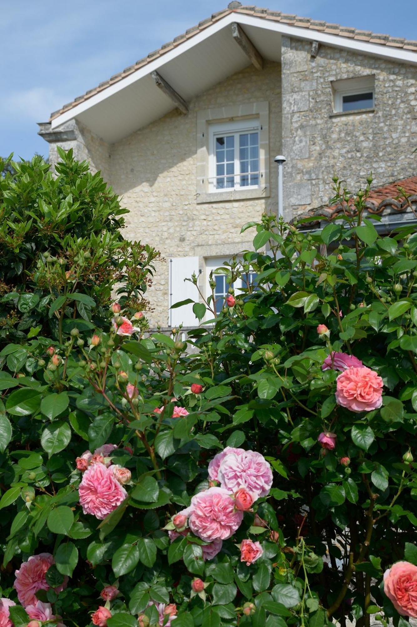 Domaine Chez Maurice Bed and Breakfast Becheresse Buitenkant foto