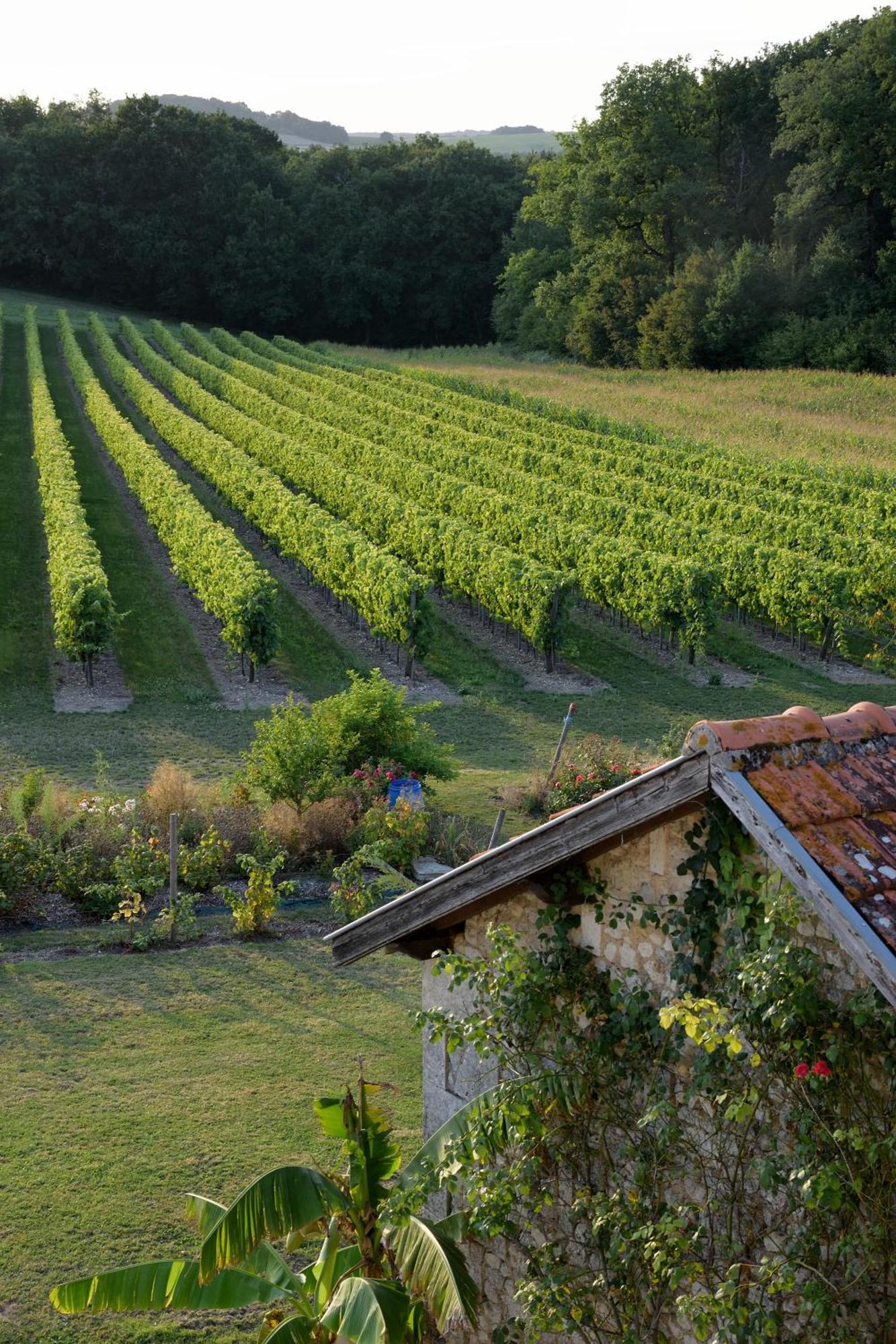 Domaine Chez Maurice Bed and Breakfast Becheresse Buitenkant foto